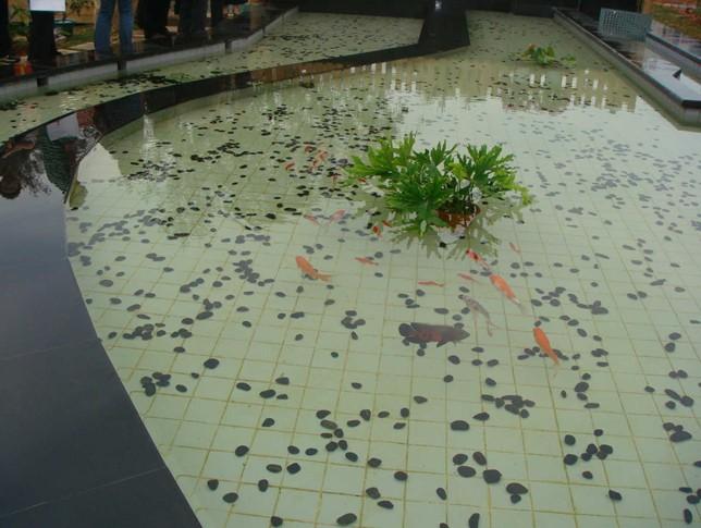 水處理現(xiàn)場